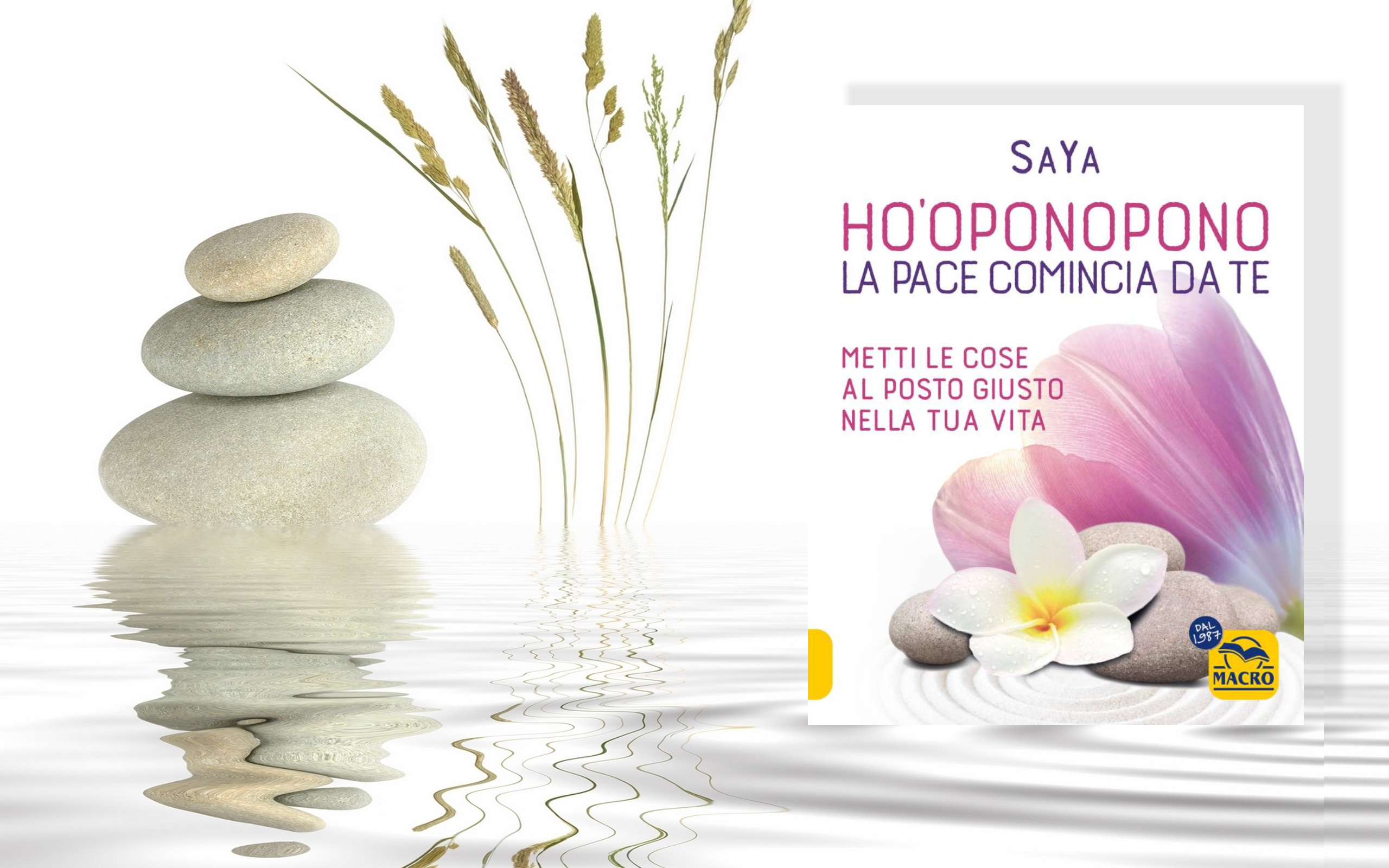 Ho'oponopono 2 a+ IT MaCRO